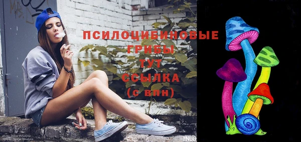 прущий лед Лагань