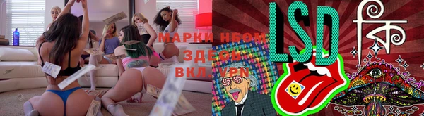 ECSTASY Лабытнанги