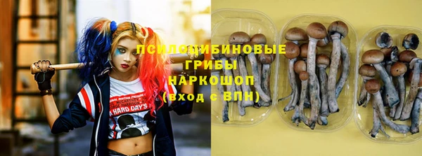 гашиш Магас