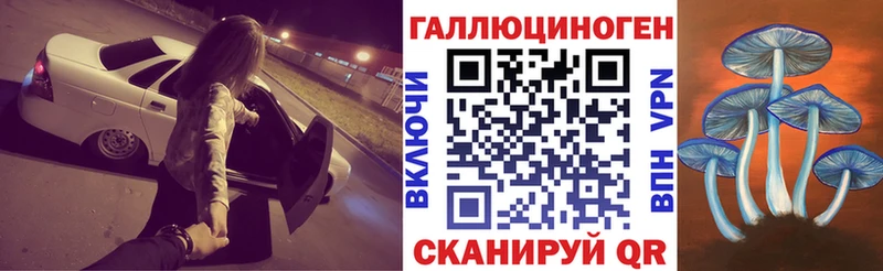 где можно купить наркотик  Медвежьегорск  Галлюциногенные грибы мицелий 